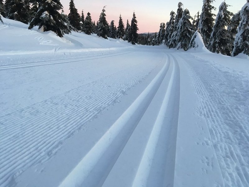 Zimní aktivity na Lipně a Hochfichtu
