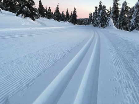 Zimní aktivity na Lipně a Hochfichtu